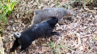 向こうへ行ってみようぜ。